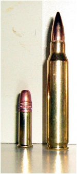 22_vs_223_caliber_bullet.jpg