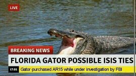 fb gator.jpg