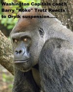 gorilla1.jpg