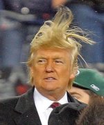 Donald-Trump-Bad-Hair-Photo-1.JPG