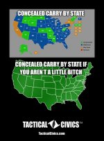 Concealed+carry+by+state.jpg