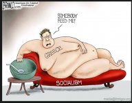 fatty libtard.jpg