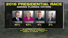 Florida poll.jpg