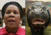 Sheila-Jackson-Lee.jpg