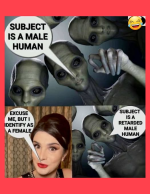 1772415528581.png