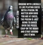 pigeonsmaller.jpg