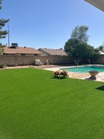 Lawn7.jpg