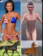 1781464523797.png