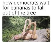 Dumocrats.jpg