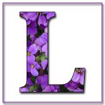 IMG_0743.jpeg