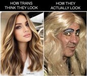 IMG_0263.jpeg