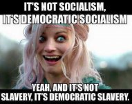 democratic-slavery-750.jpg