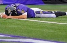 flacco laying on ground.jpg