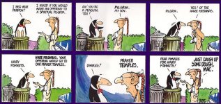 BloomCounty.JPG