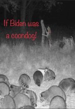 If Biden was a coon dog.jpg